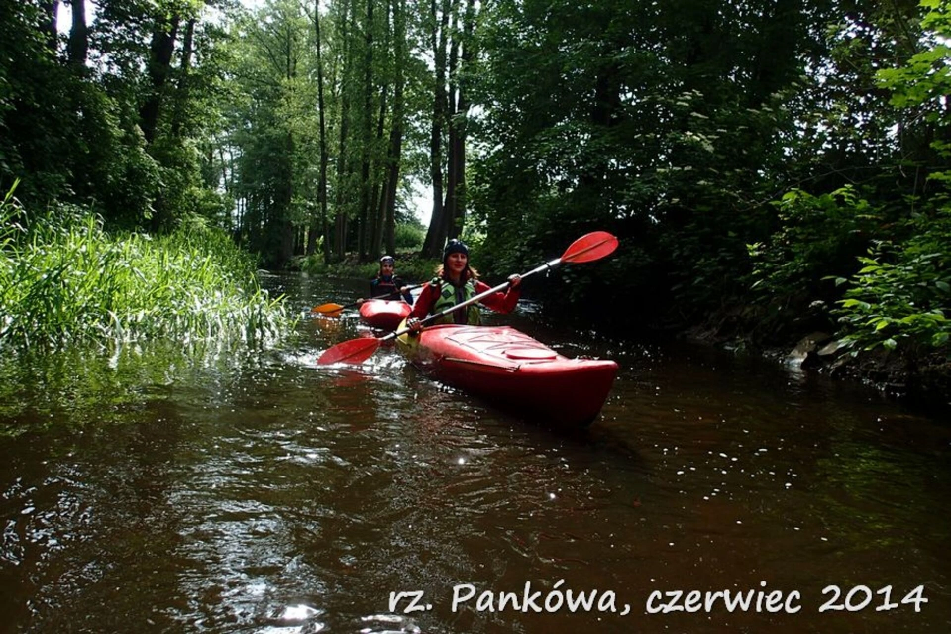 Kajaki Pankówka